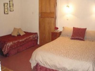 כרייסטצ'רץ' Homelea Bed And Breakfast מראה חיצוני תמונה